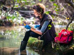 Environmental Scientist
